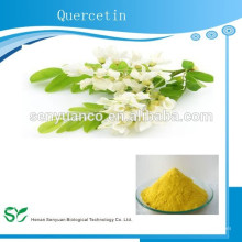 Extracto de Quercetina 98% Sophora Japonica de alta calidad